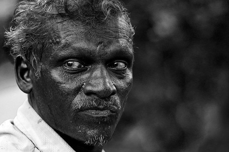 . фото превью