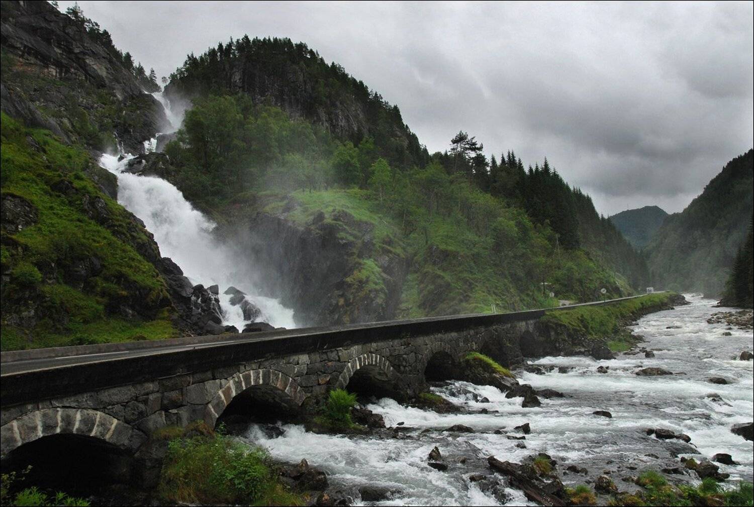 , Крицак Ольга