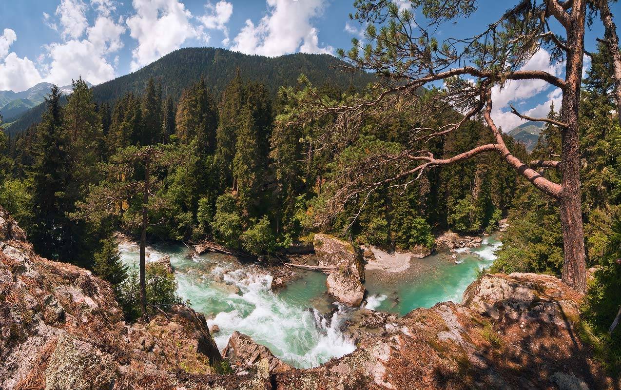 , Николай Мысливцев