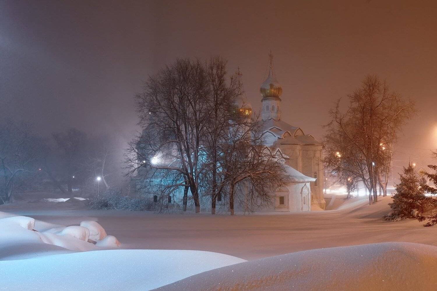 , Максим Евдокимов