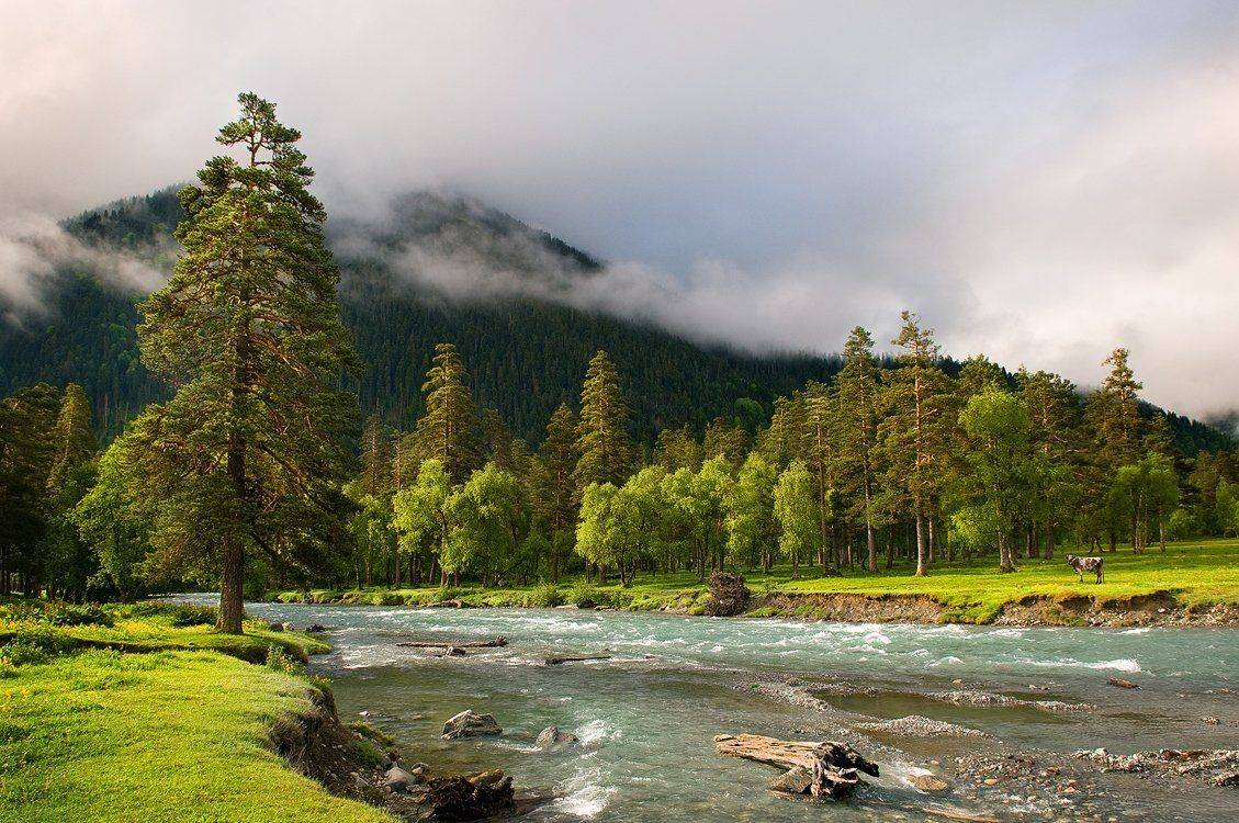 , Месилов Сергей