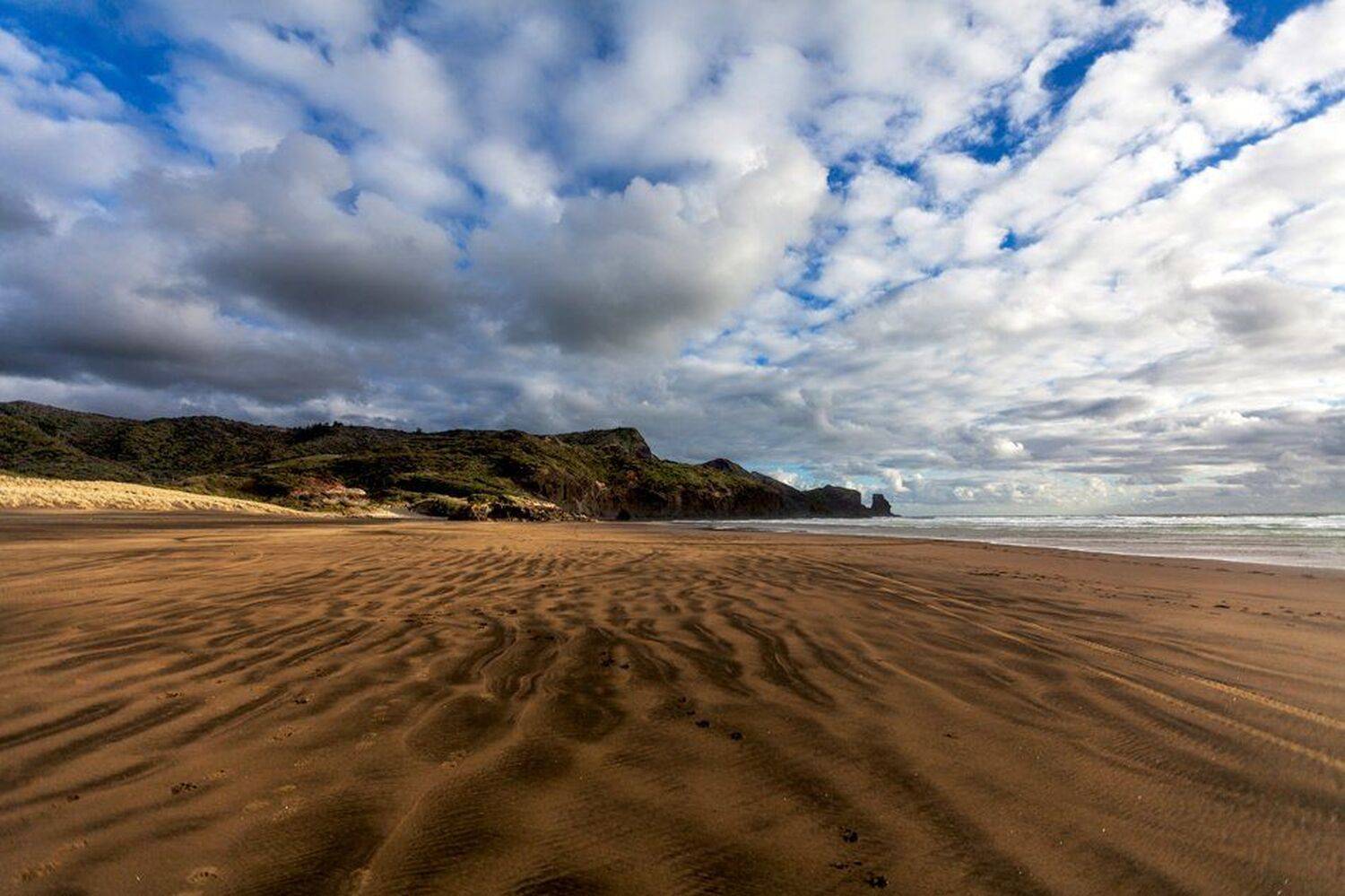 Новая Зеландия, Дара Пилюгина