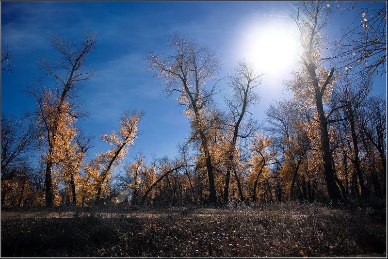 осень фото превью
