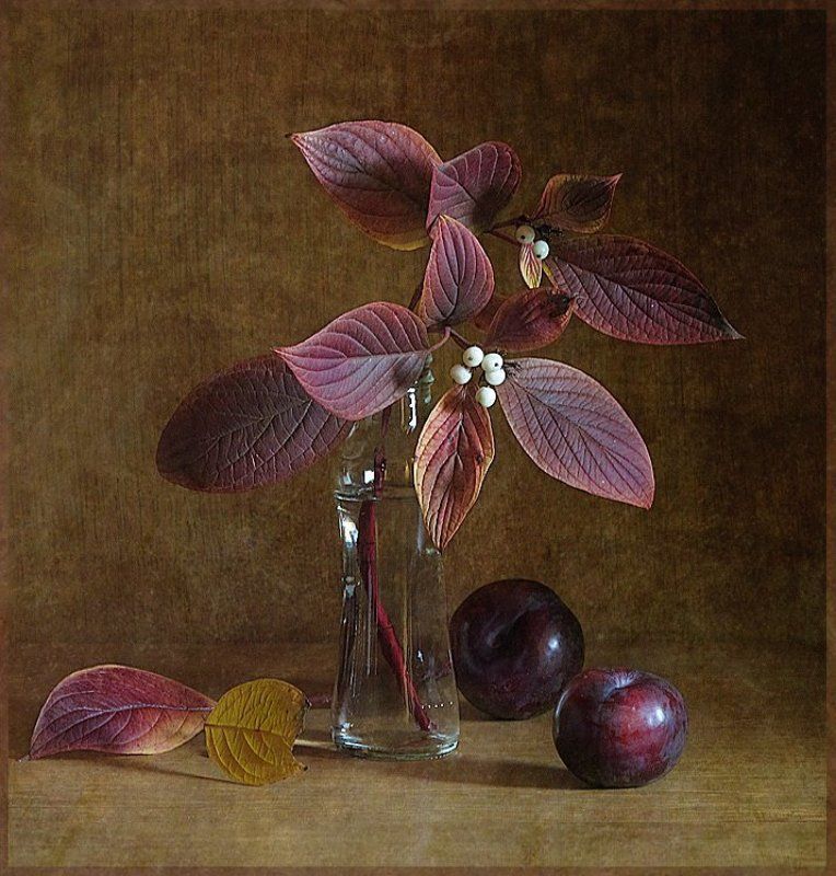 Глазки... фото превью