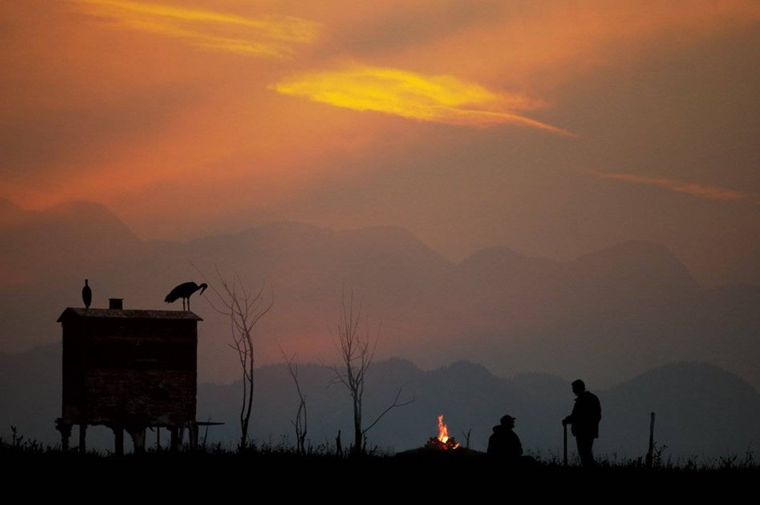 , janini (Жана Топчиева)