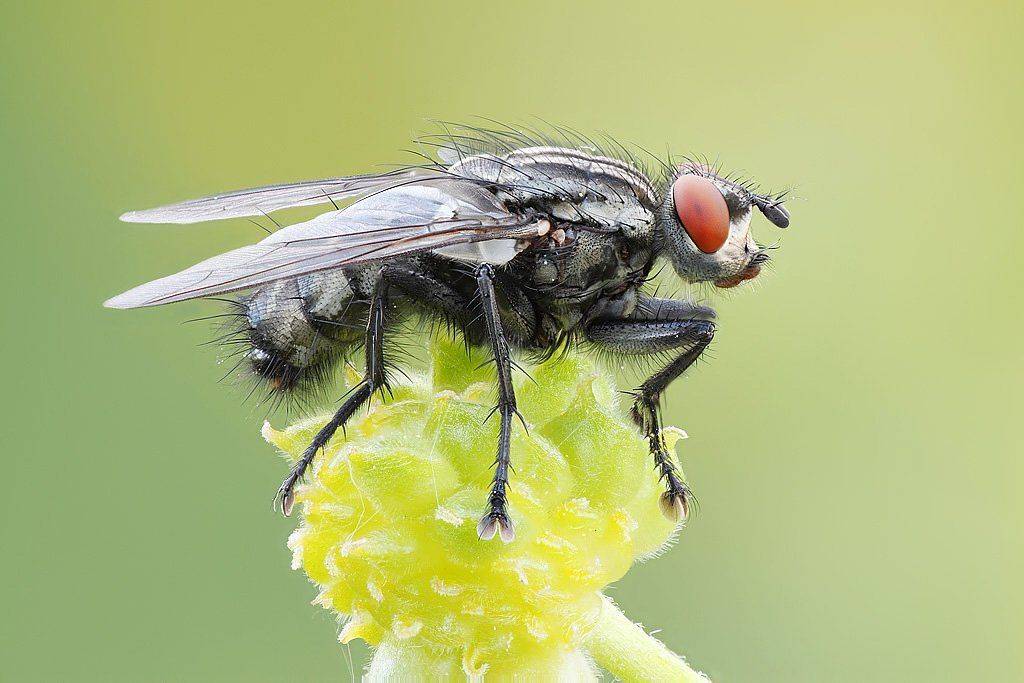 , Сергей Таланов