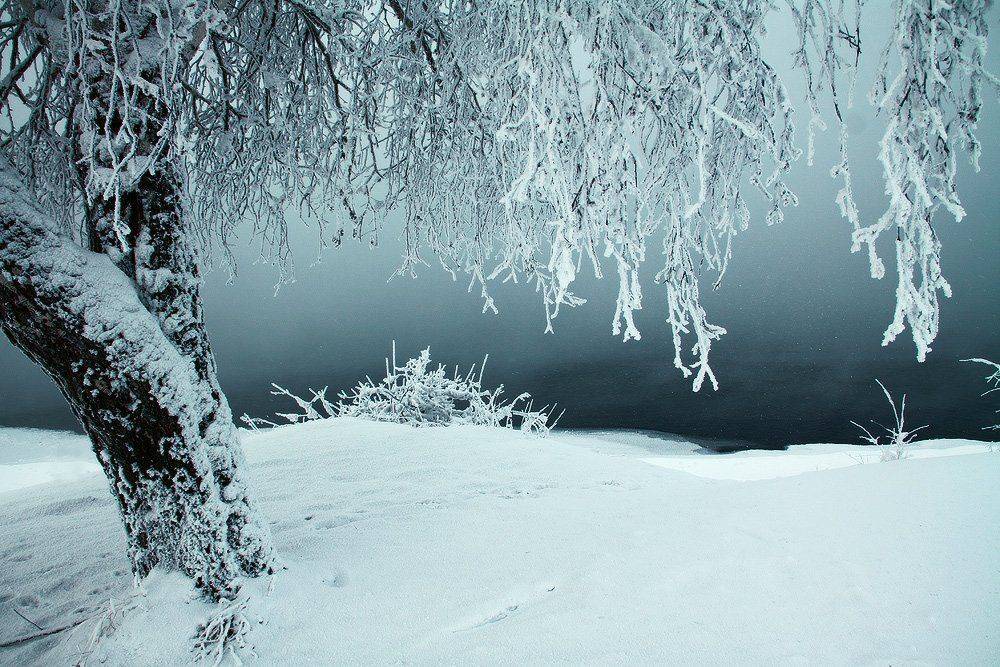 , Николай Морский