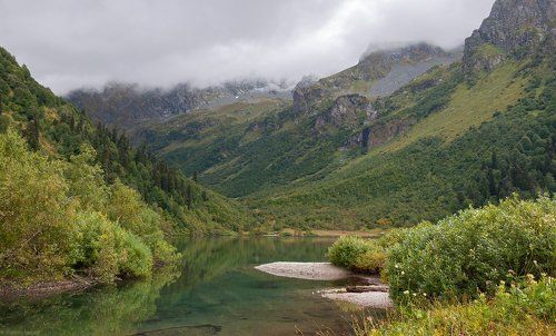 Кардывач в конце сентября