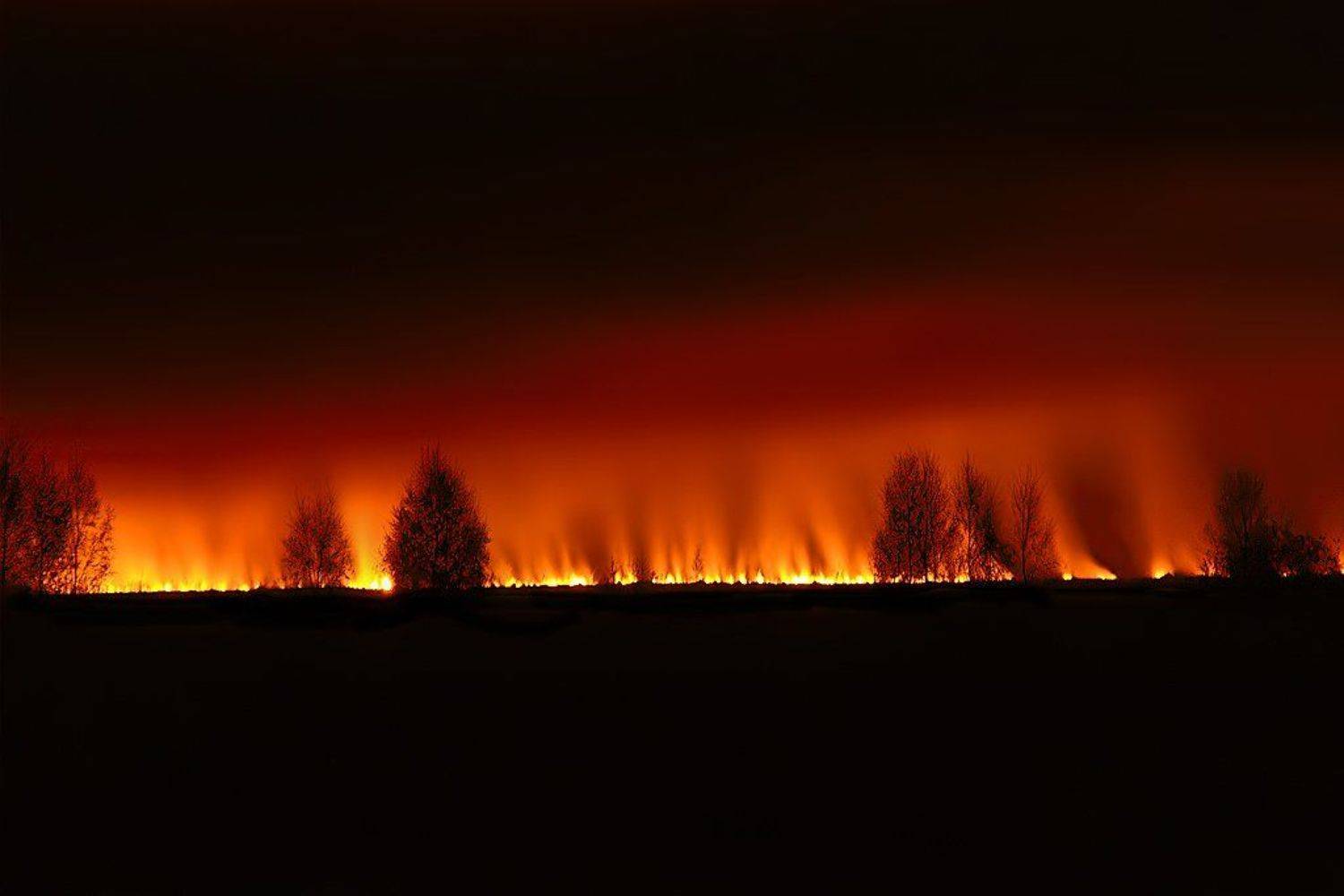 , Аркадий Усиков