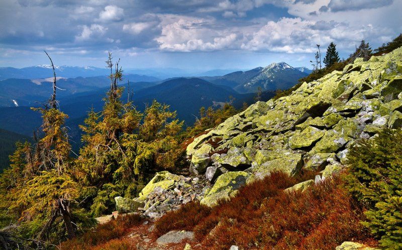 *** фото превью