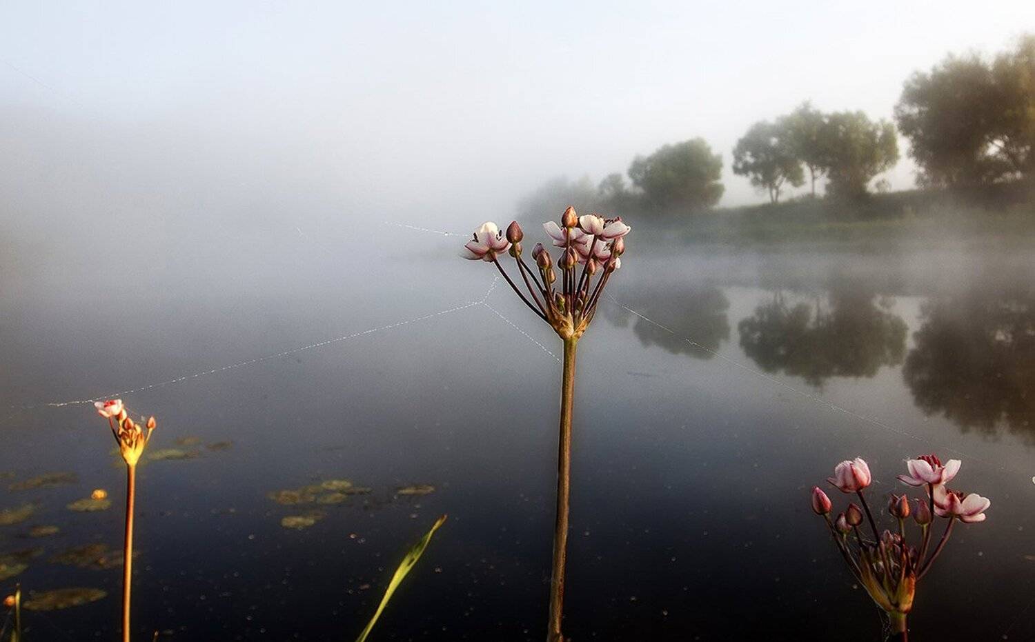 , Юрий Крючков
