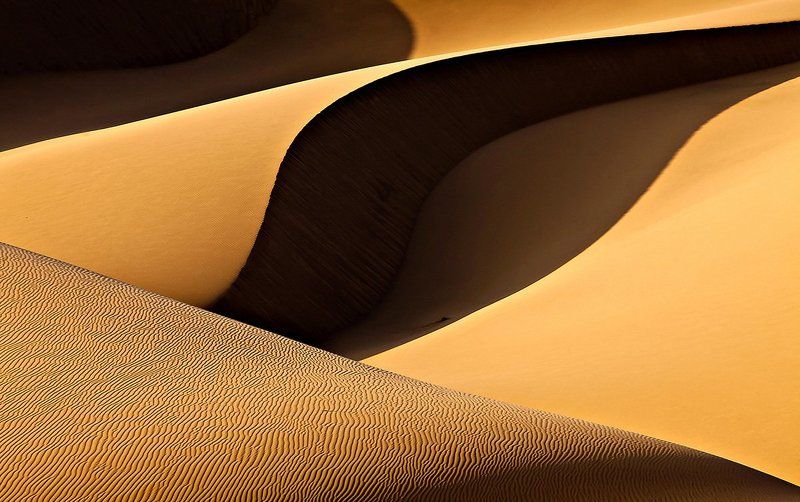 Wish фото превью