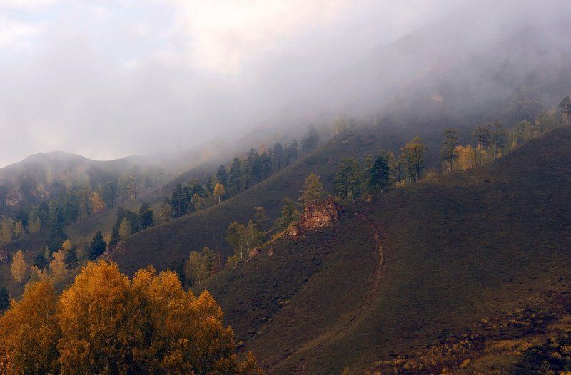 Осеннее грустное: в ожидании зимы, вспоминая лето... фото превью
