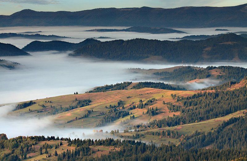 карпаты, горы, утро, туман острова фото превью