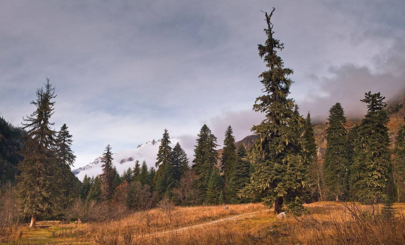гоначхир, поляны, осень, Николай Мысливцев