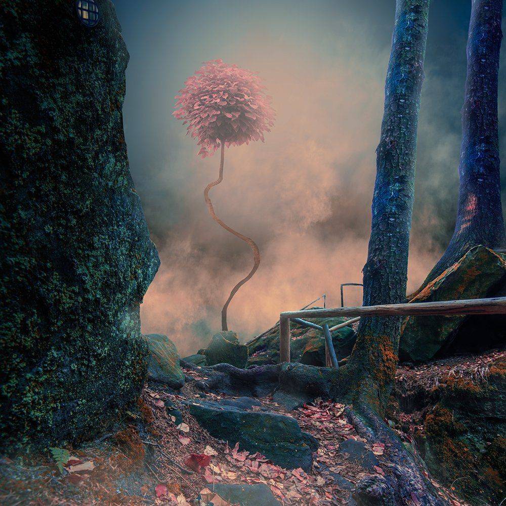 red, tree, leaf, mounting, stone, colorfull, mistery, window, light, smoke, mist, inside, forest, manipulation, tutorial, psd, fall, Caras Ionut