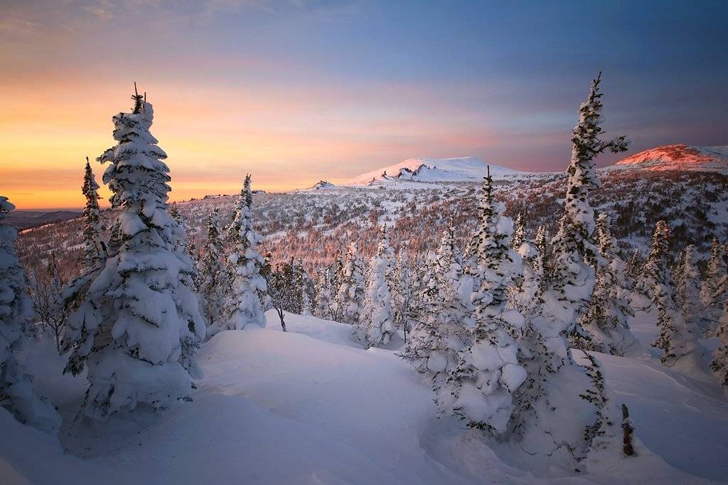 шерегеш, гора зеленая, гора мустаг, вечер, пихты, свет, тени, краски, горная шория, Валерий Пешков