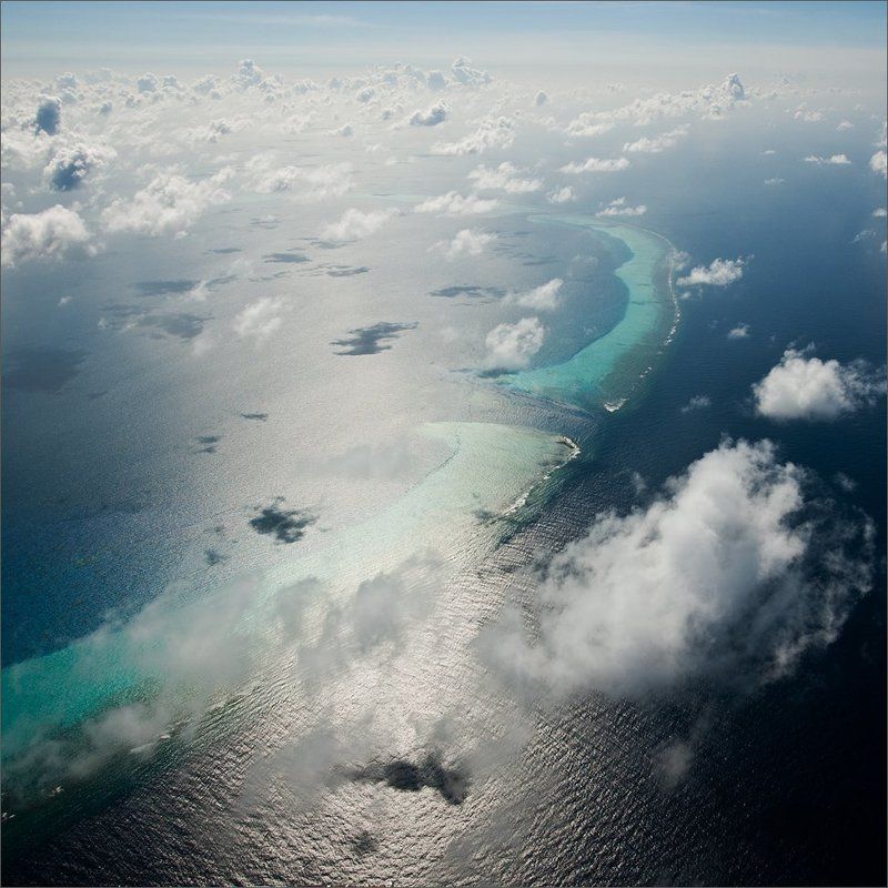 Риф фото превью