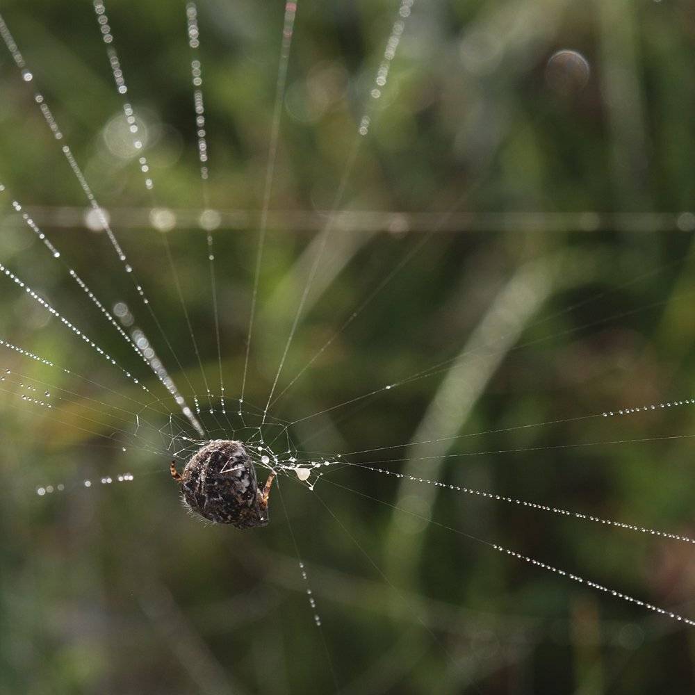 , Игорь ФУММ