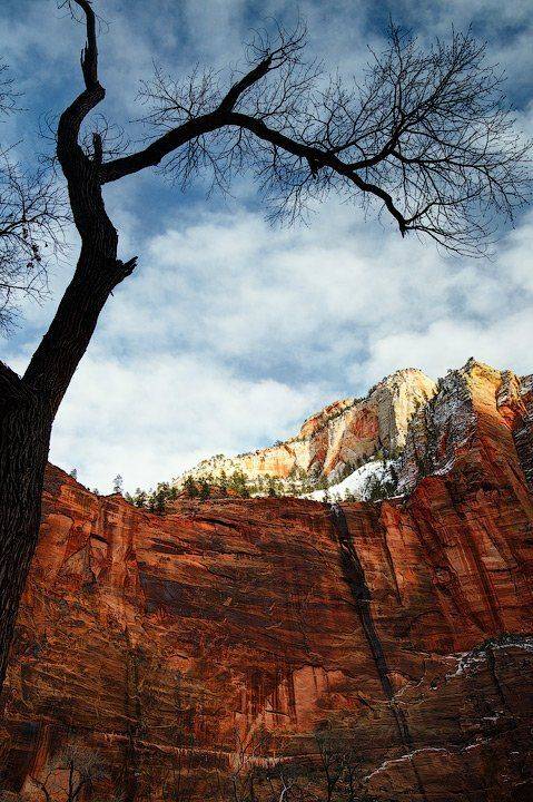 каньон зайон, zion canyon, sinavava temple, Алексей Харитонов