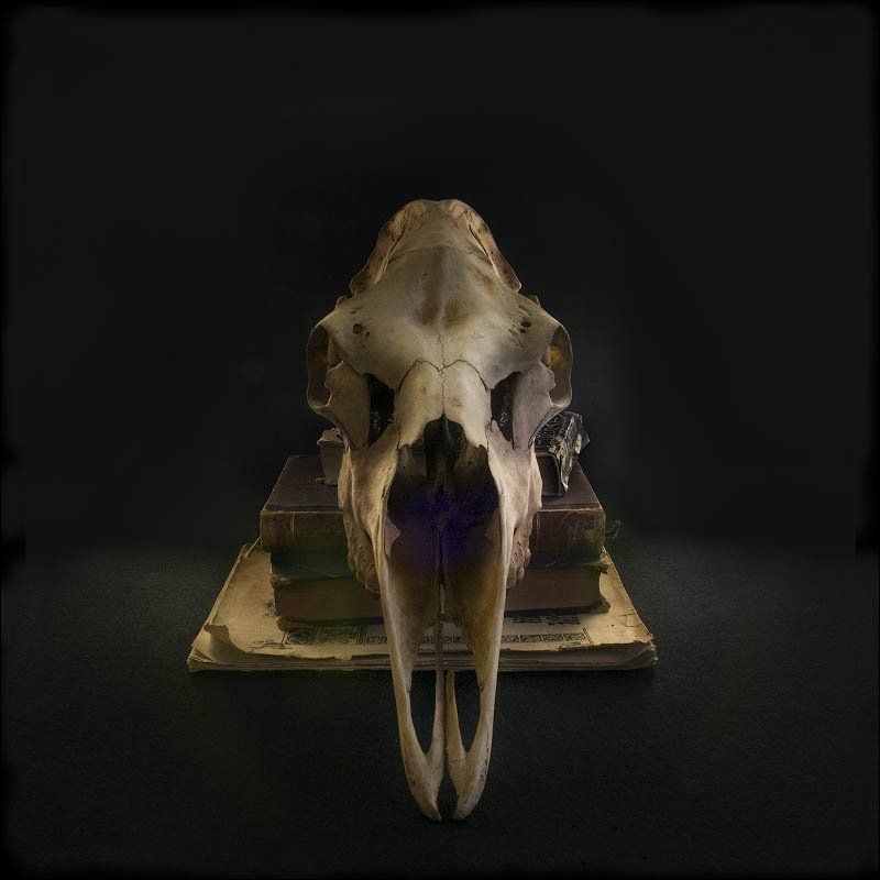 *** фото превью