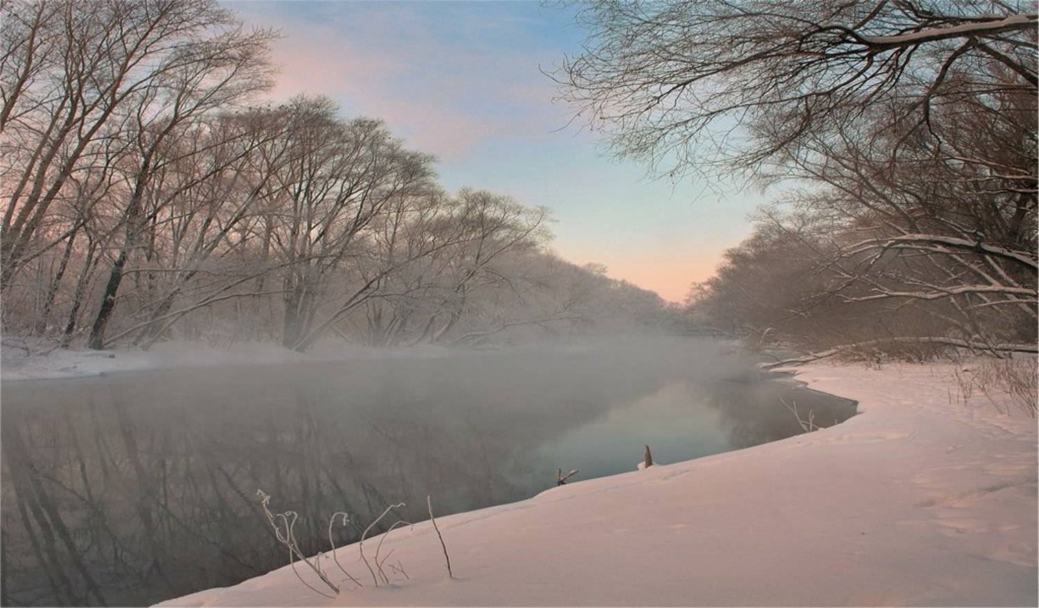 , Дмитрий Алексеев