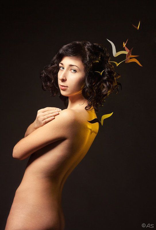 Birds and Sun фото превью