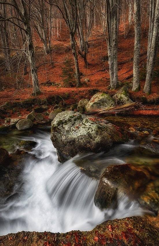 , Красимир Матаров