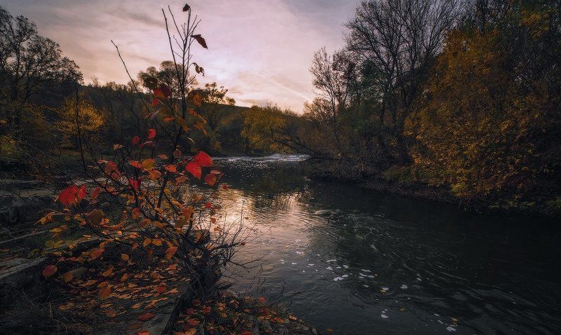 Поздняя осень фото превью