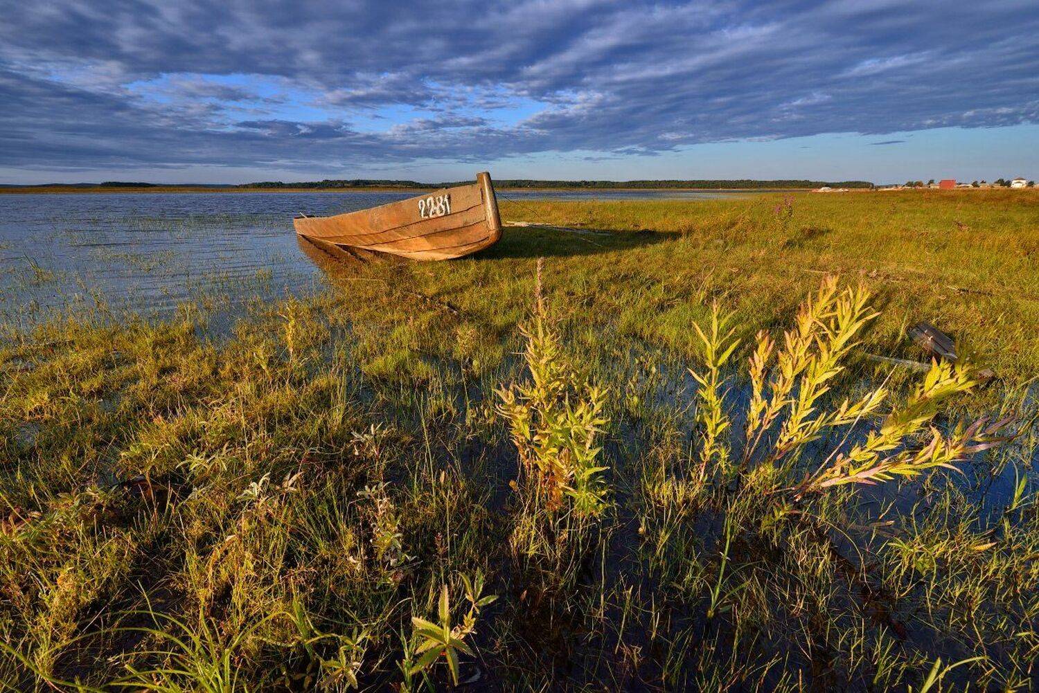, Максим Евдокимов