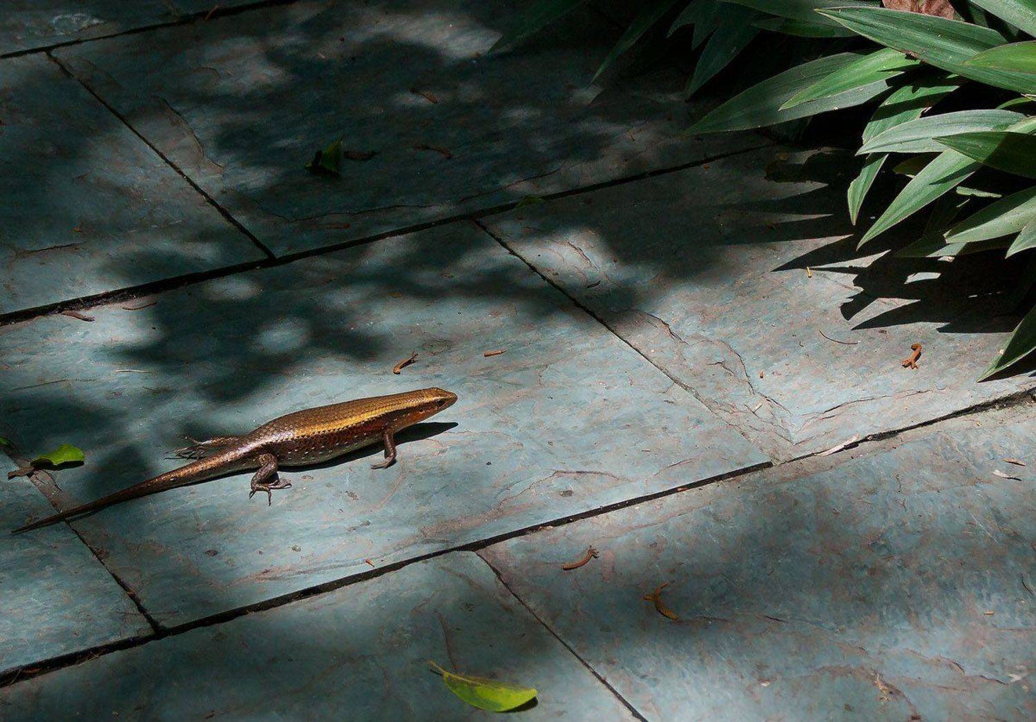 китай, остров хайнань, Utkin  Dmitriy