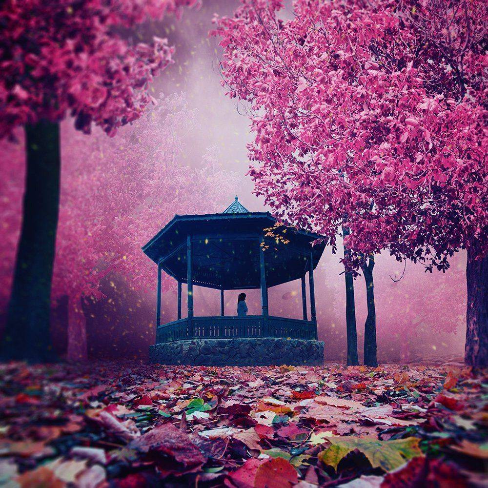 mist, red, girl, tree, running, purple, mystery, manipulation, photoshop, violet, iris, balance, joy, psd, ioana, , tutorials, Caras Ionut