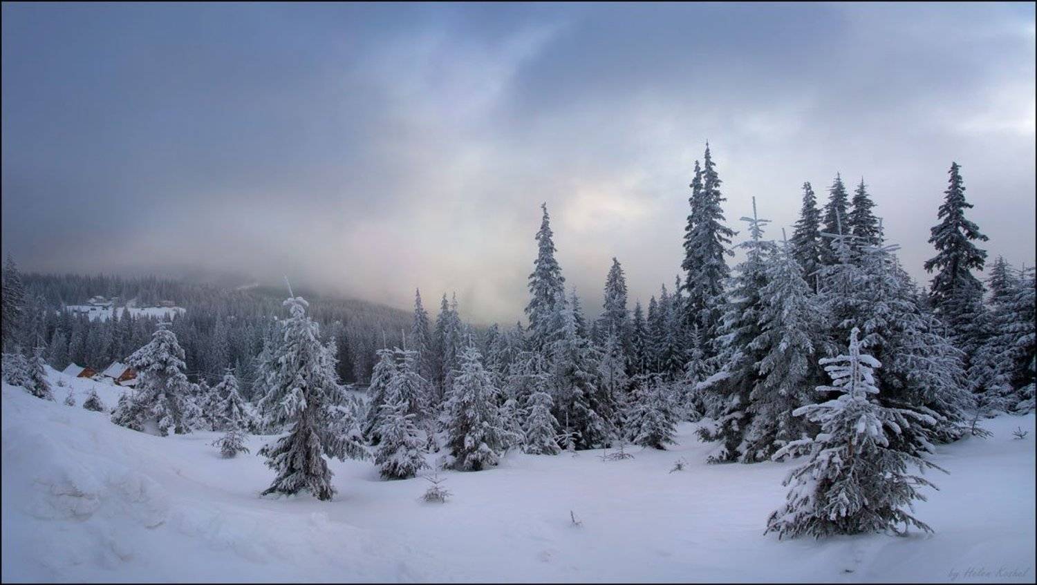 , Елена Кошель