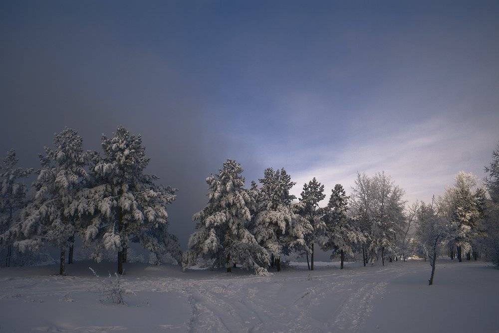 , Николай Морский