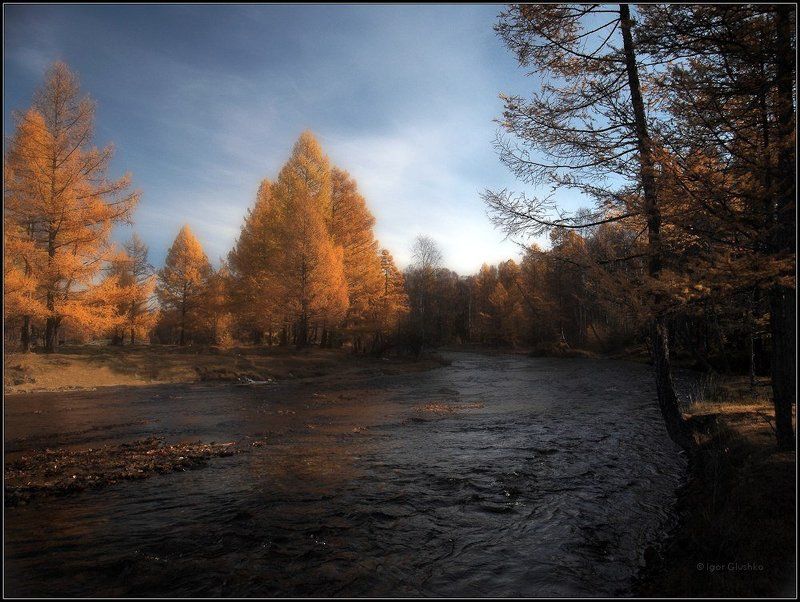 бурятия, река, лиственница, осень Осенний мотив фото превью