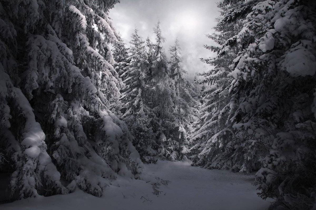 , Михаил  Пилипенко