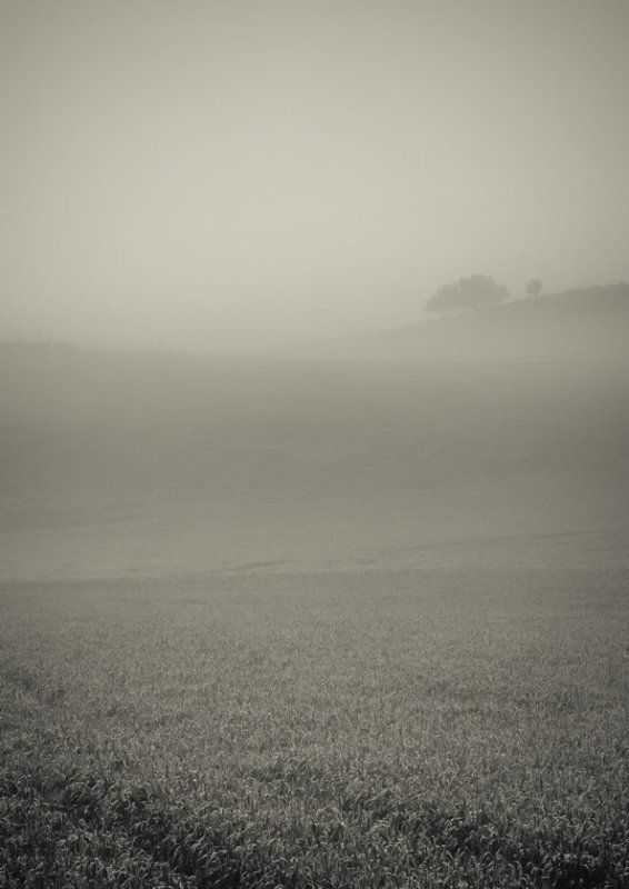 Тени фото превью