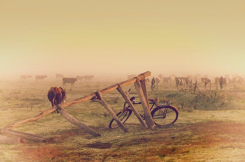 День начинается... фото превью