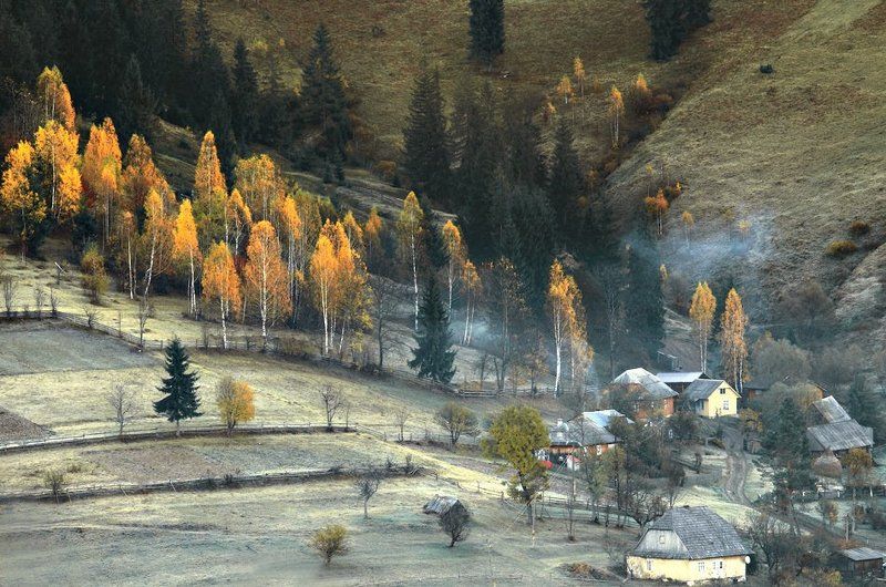 последнее дыхание осени... фото превью