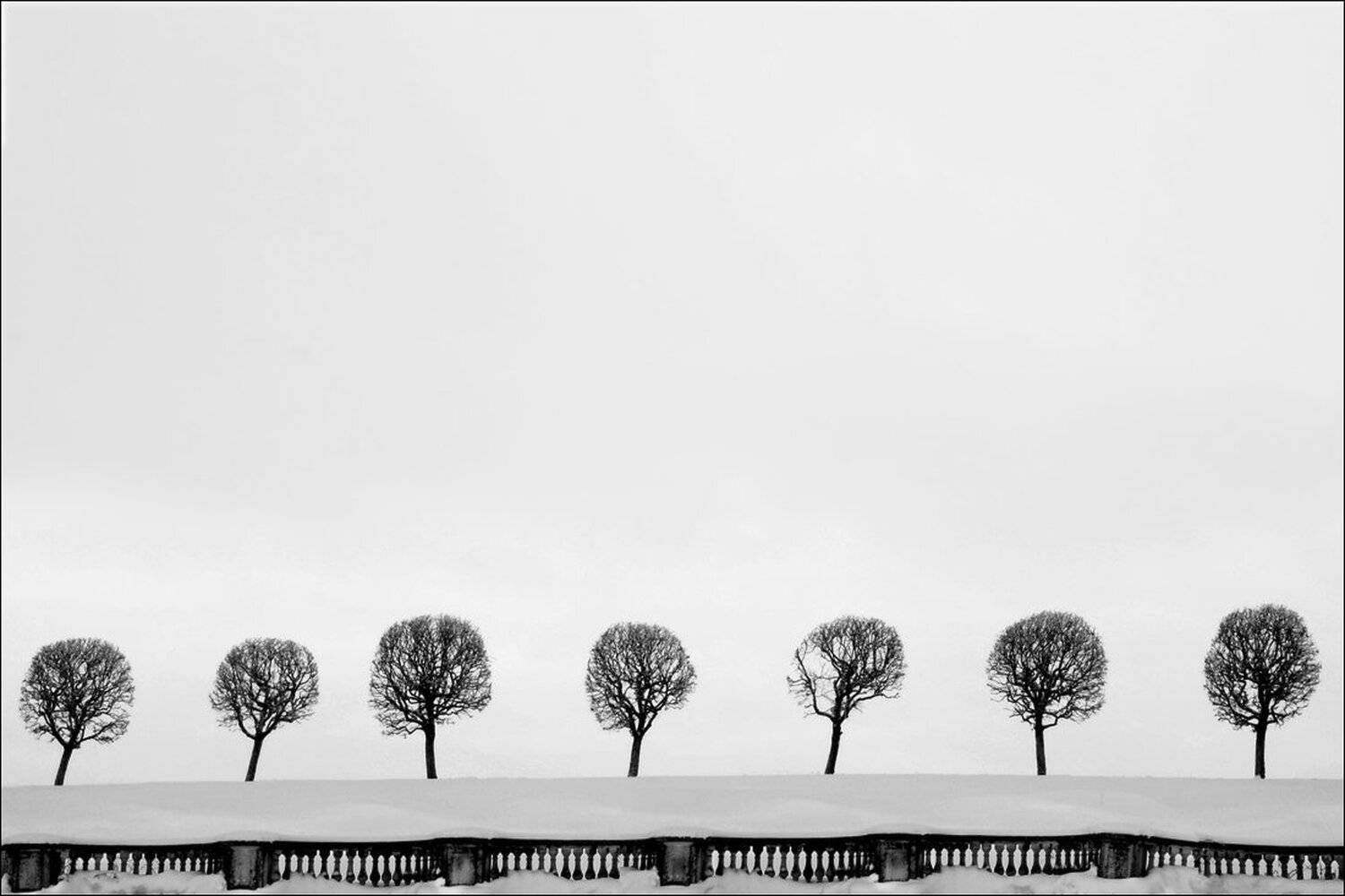 , Крицак Ольга