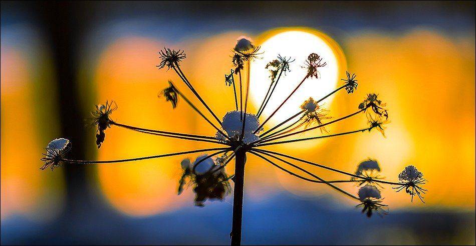 , Бурлов Андрей