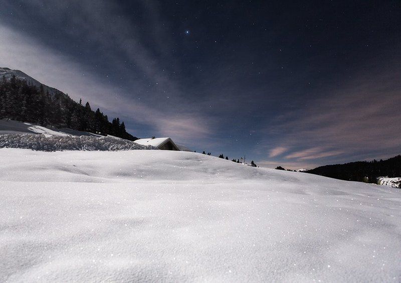 In the Moonlight фото превью