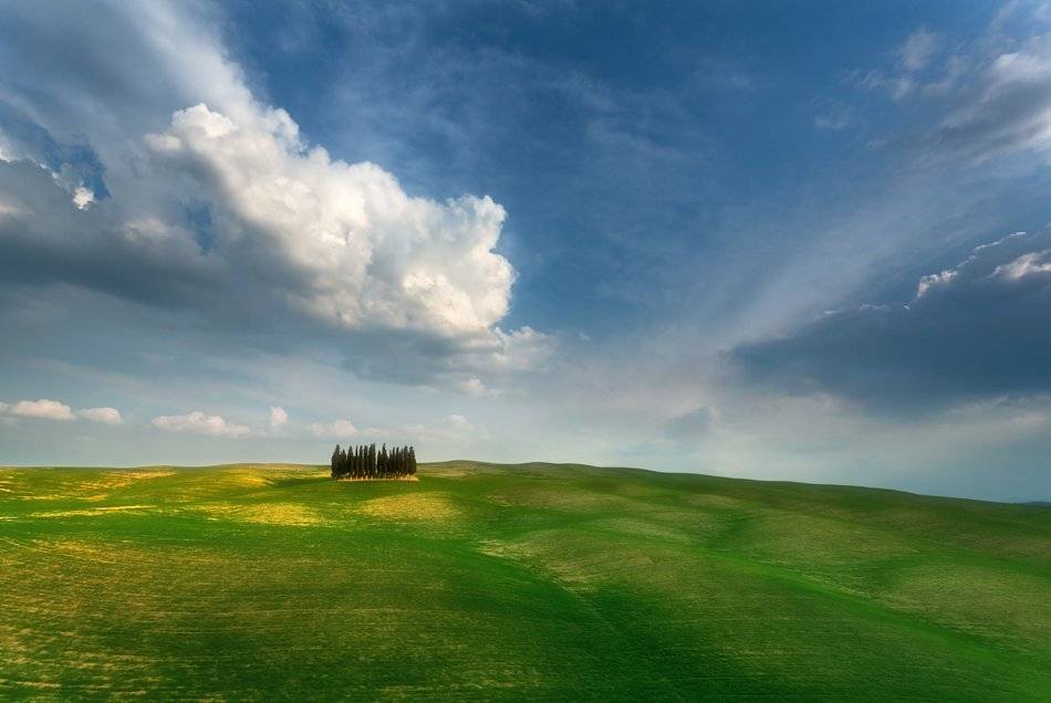 , Krzysztof Browko