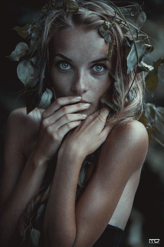 фото превью