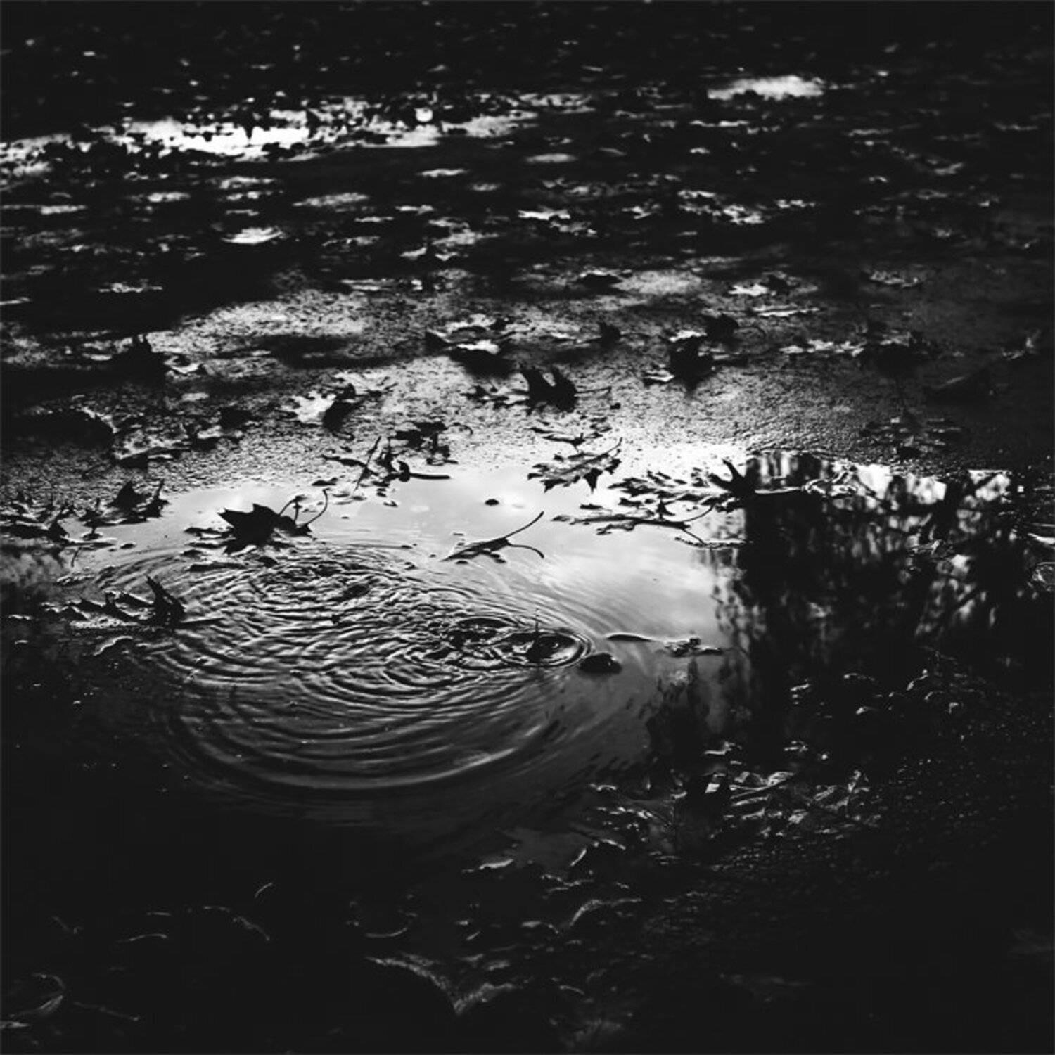 , Razvan Emilian Dumitrescu