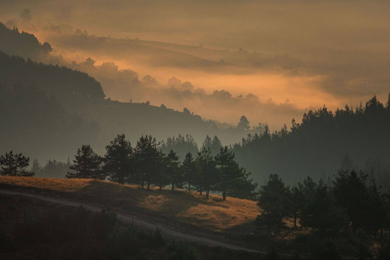 , Vladimir Karamazov