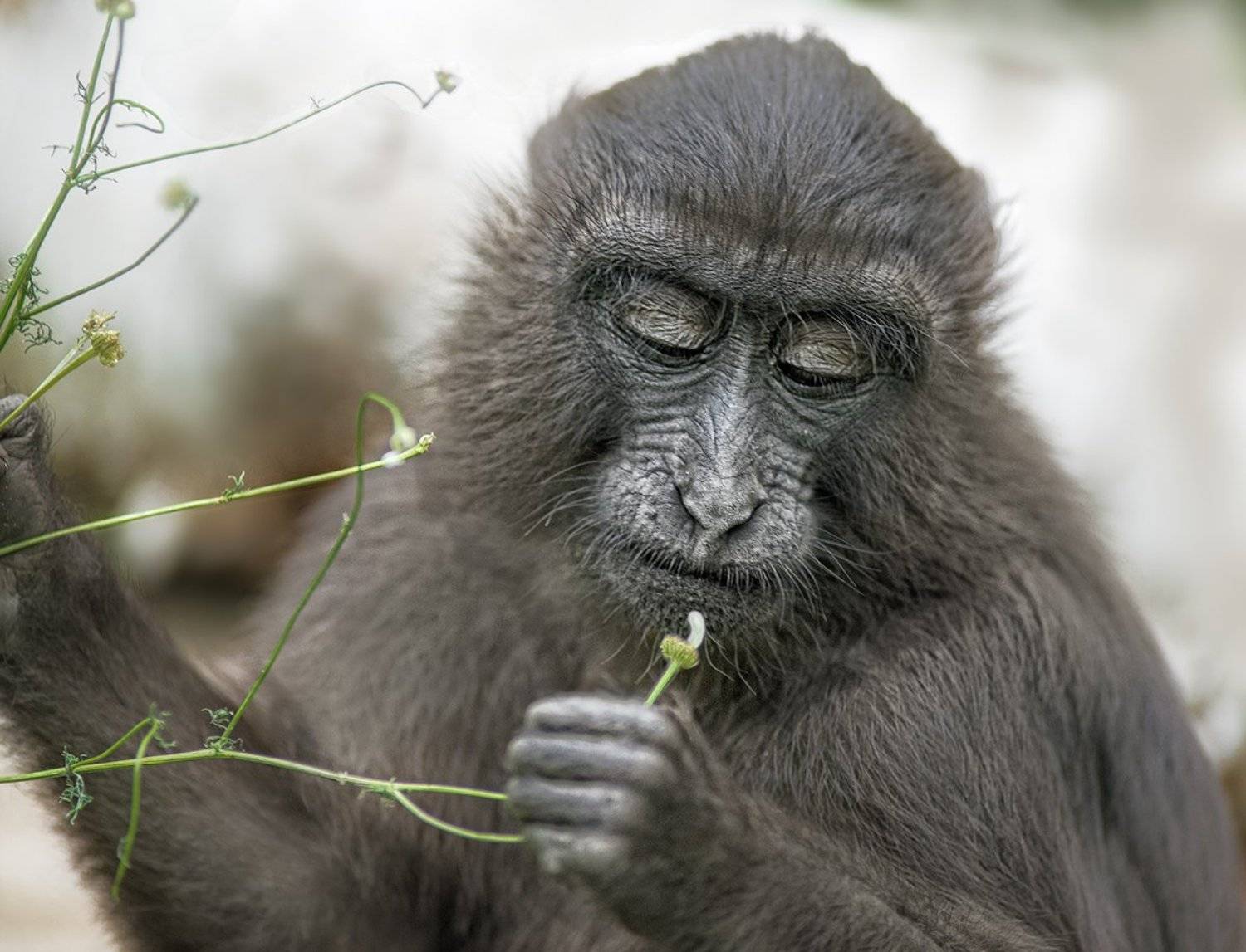 , Татьяна Москальчук