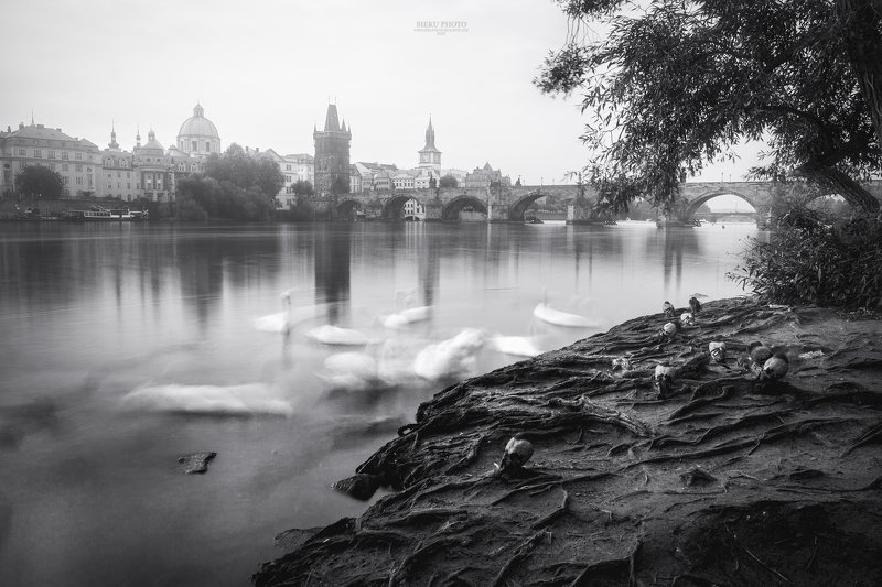 Prague  фото превью