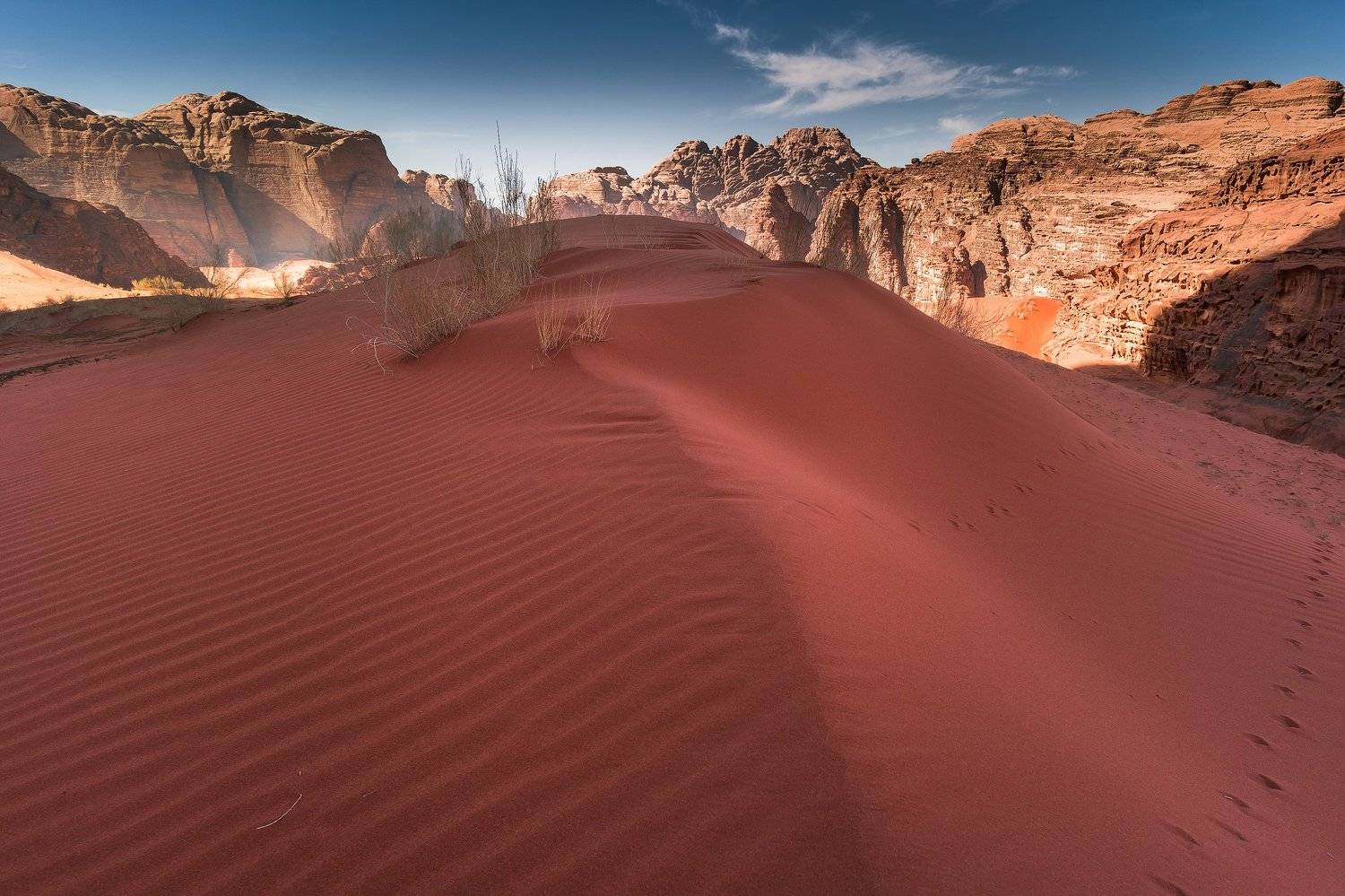 red, sand, dune, wadi rum, desert, summer, Błażej Krzyżanek