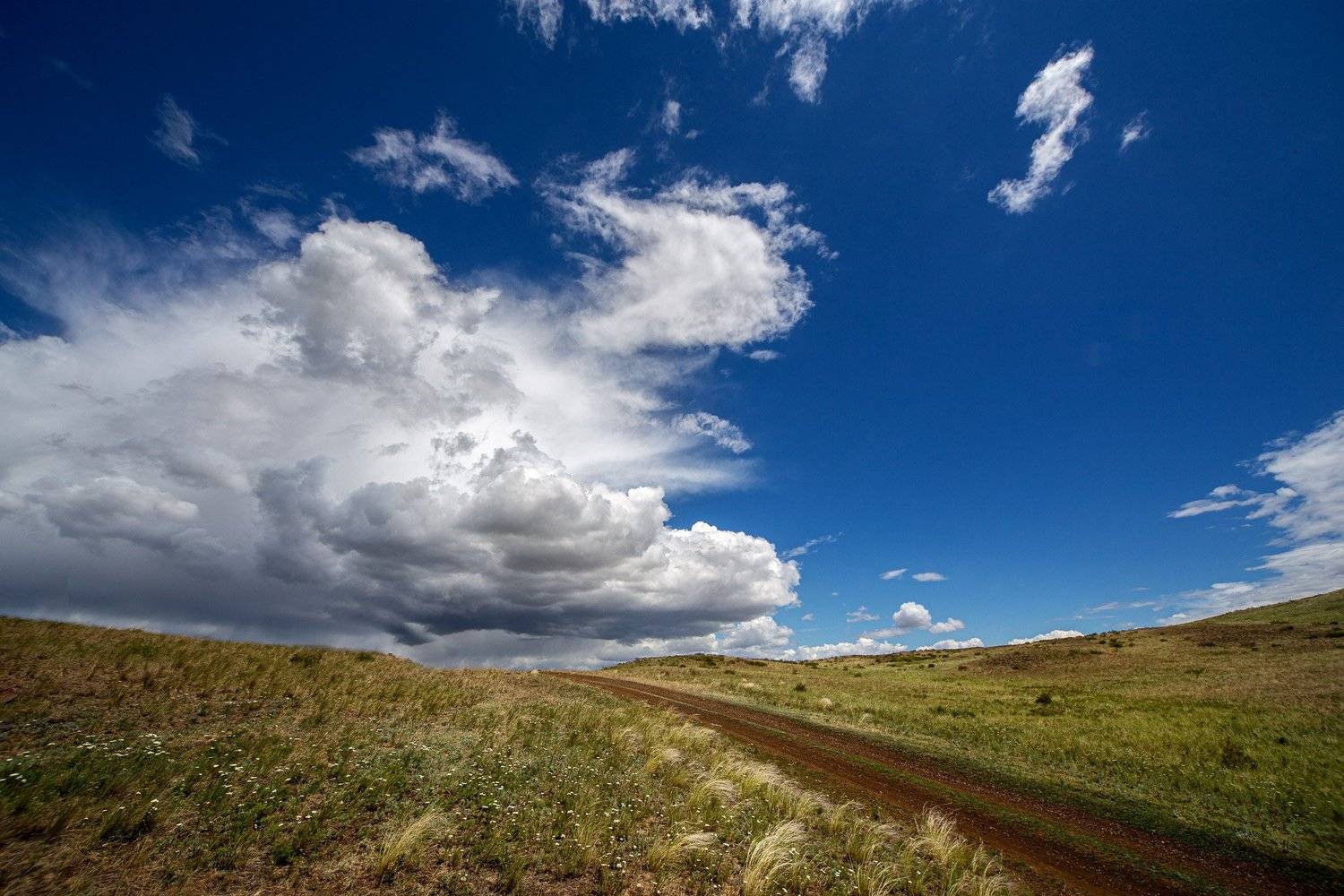 южный урал,оренбургская область, орск, новотроицк,, Качурин Алексей